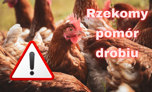 ikona Rzekomego Pomoru Drobiu