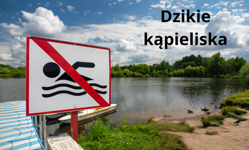 ikona dzikiego kąpieliska