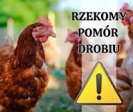 ikona rzakomego pomoru drobiu