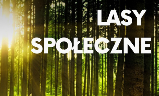 ikona LASY SPOŁECZNE