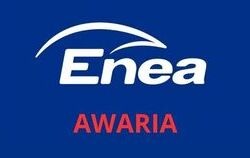 enea