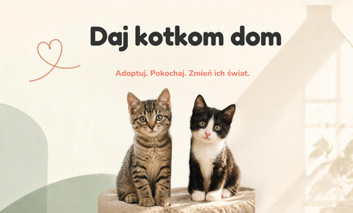 Zdjęcie do kotki do adopcji